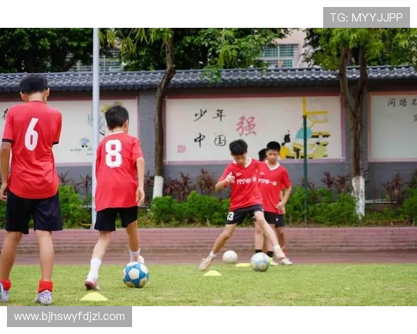 青少年足球培养体系建设：振兴中国足球的核心战略路径